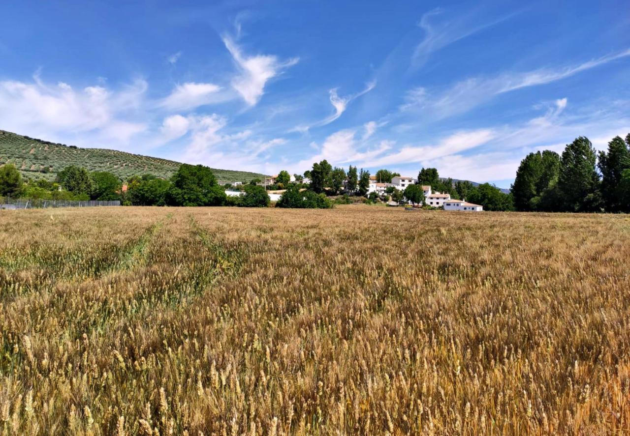 Complejo Apartamentos Rurales Molino De Abajo Ribera Baja  Kültér fotó