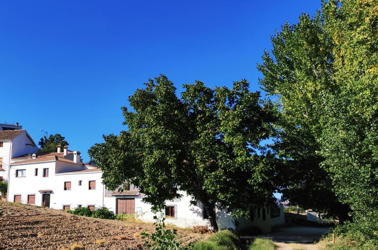 Complejo Apartamentos Rurales Molino De Abajo Ribera Baja  Kültér fotó